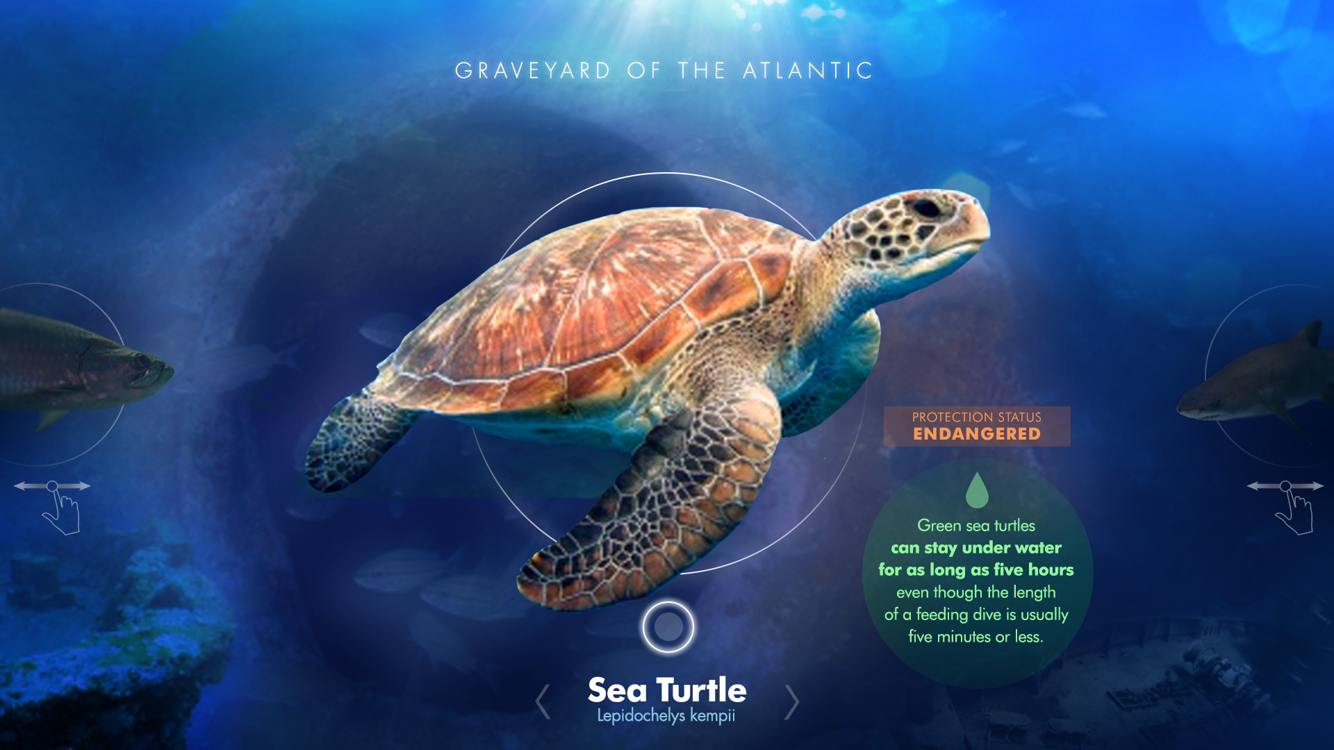 Tennis Hall of Fame interactive