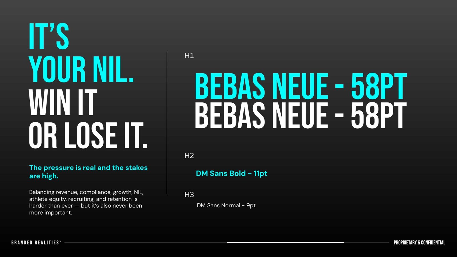 Style guide slide: Bebas Neue and DM Sans type scale